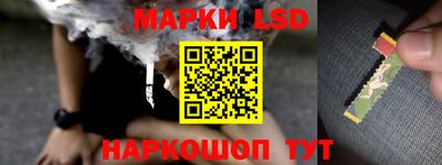 ГАЛЛЮЦИНОГЕННЫЕ ГРИБЫ Заволжье